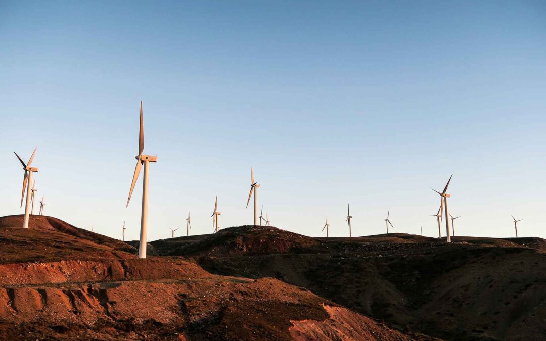 Renewable Energy Reaches Worldwide Feasibility