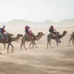 Camels Still Ideal for Crossing Desert Terrain