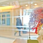 The Promise of Healthcare Breakthroughs From AI Technology